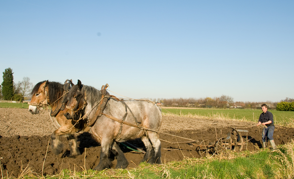 Landarbeid