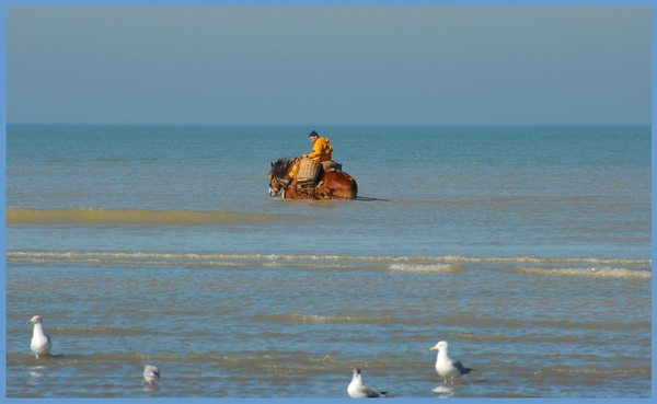 Zomervakantie aan zee