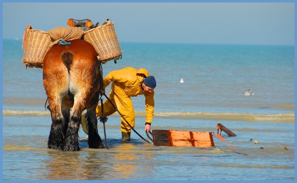 Zomervakantie aan zee