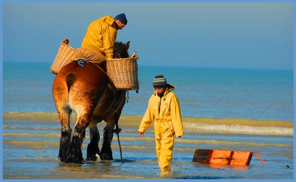 Zomervakantie aan zee