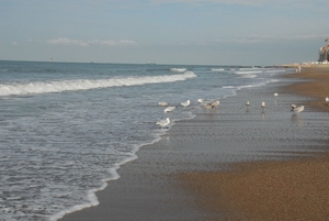 JSC_0107 Noordzeestrand