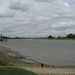 55   Schelde   IMG_8714