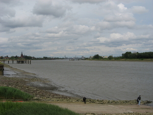 55   Schelde   IMG_8714