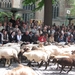 Brugge H. Bloed processie 2009 051