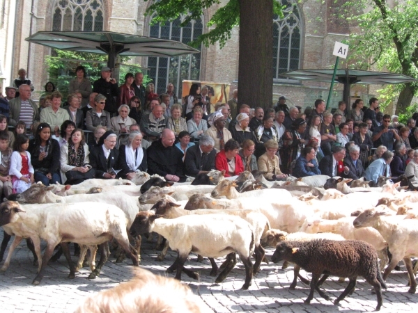 Brugge H. Bloed processie 2009 051