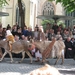 Brugge H. Bloed processie 2009 054