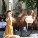 Brugge H. Bloed processie 2009 069