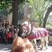 Brugge H. Bloed processie 2009 072