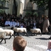 Brugge H. Bloed processie 2009 098