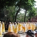 Brugge H. Bloed processie 2009 185