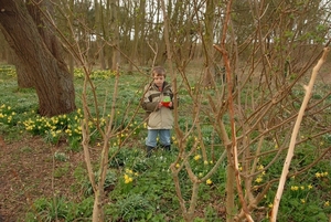 2008 03 02  0333 Ward tussen de paasbloemen