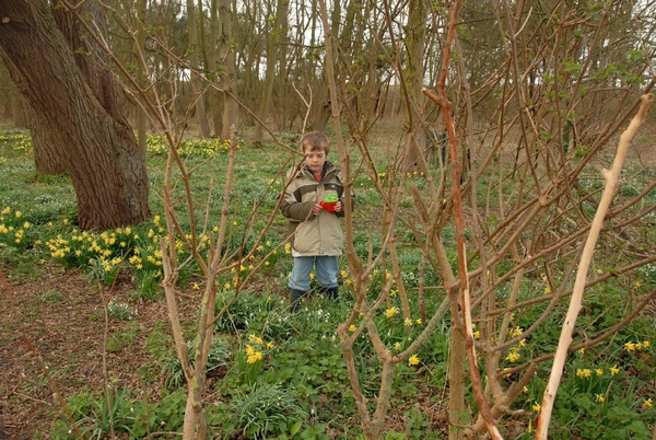 Wandeling  in en aan 't Zwin Knokke