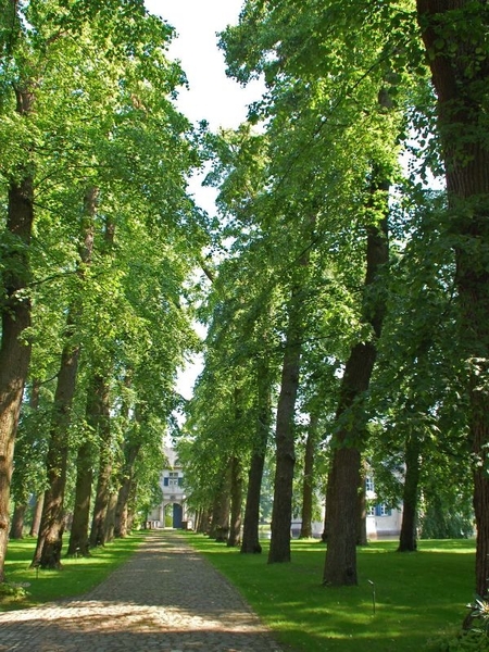 Wandelweg kleine ring Lier