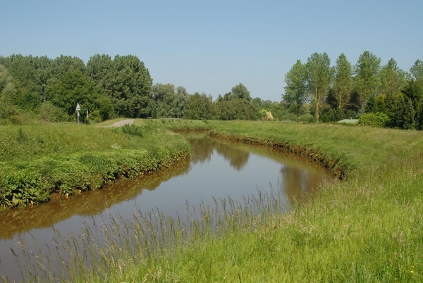 Oever grote  Nete