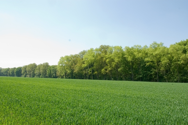 MV9_2631_Galmaarden vlaamse ardennen