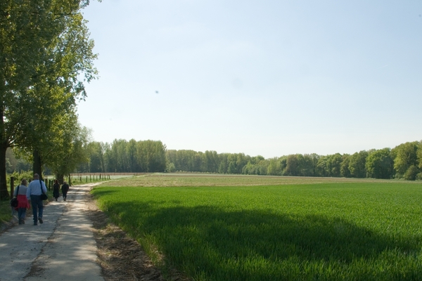 MV9_2632_Galmaarden Vlaamse ardennen