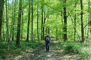 MV9_2598_Galmaarden Jef in het bos