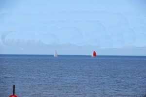 DSC_0019