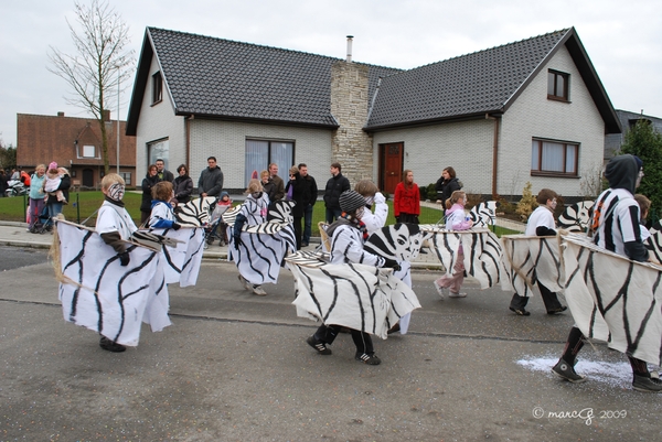 Z Carnaval gull 040