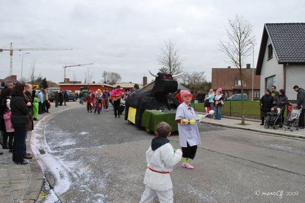 Z Carnaval gull 064