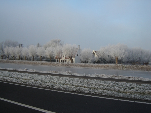 vorst 003