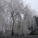 winter 2007 004