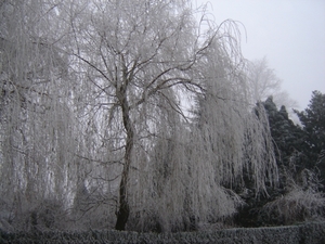 winter 2007 004