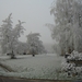 winter 2007 005