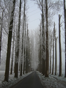 winter 2007 006
