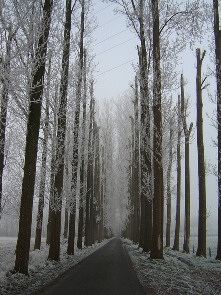 winter 2007 006
