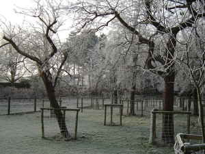 winter 2007 009