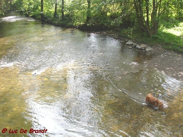 Ardennen Adeps wandeling Couvin