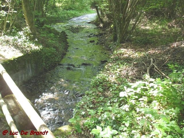 Ardennen Adeps wandeling Couvin