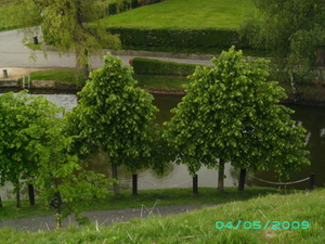 de vijver op de oudenberg