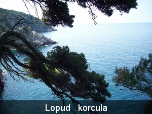 kolocep 15-22mei 2009 140