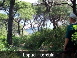 kolocep 15-22mei 2009 145