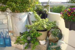 DSC00551