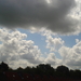 DSC00610