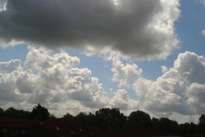 DSC00610