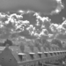 DSC00611