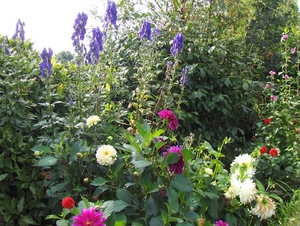 De zomer is voorbij 003