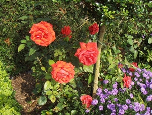 De zomer is voorbij 015