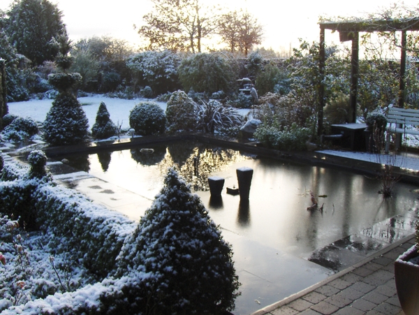 eind November 003