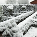 Sneeuw op 24-3-08 004