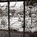 Sneeuw op 24-3-08 006