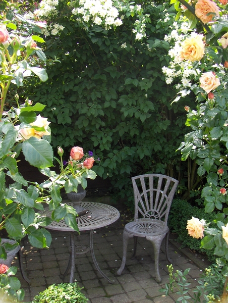De tuin 08-06-08 019