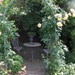 De tuin 01-07-08 041