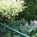 De tuin 01-07-08 059