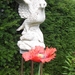 De tuin 01-07-08 127