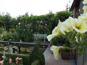 De tuin 01-07-08 129